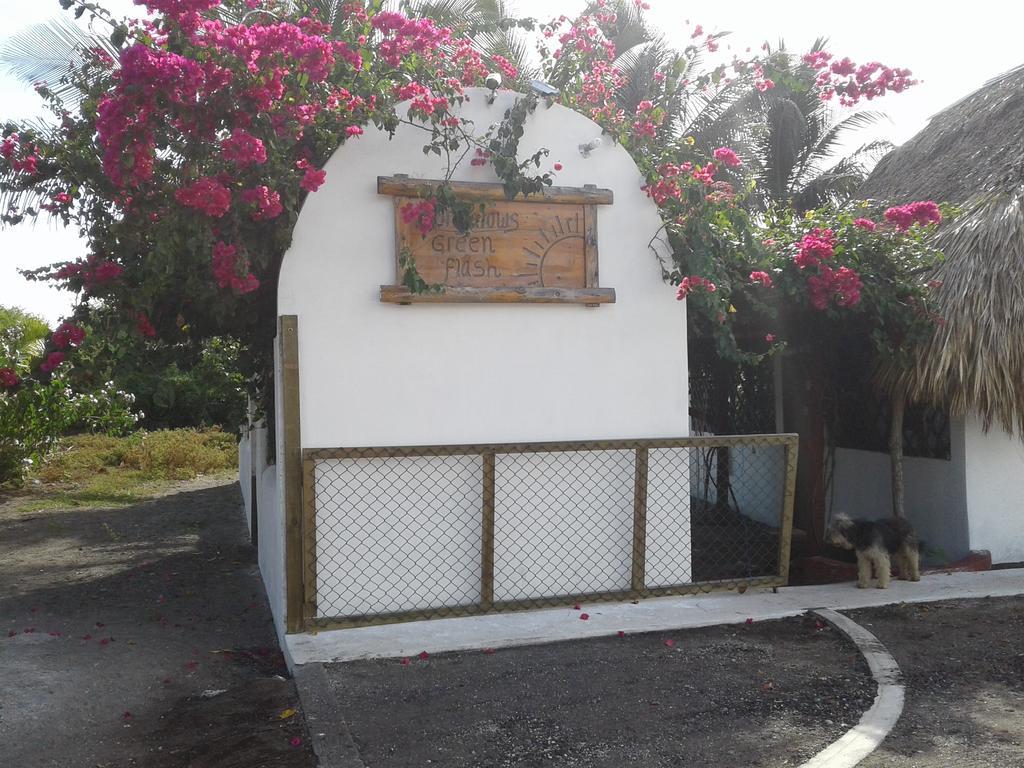 מונטריסיו Bungalows Familiares מראה חיצוני תמונה